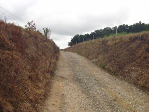 Traitement aux phytosanitaires d'un fossé (CPIE des Collines normandes)