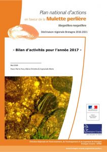 Rapport d'activité 2017 de la déclinaison Bretagne du PNA en faveur de la mulette perlière
